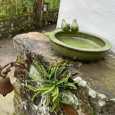 Paxarinos Дом отдыха *