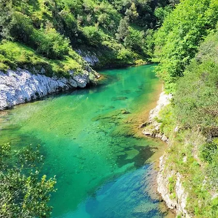 Paxarinos Сasa de vacaciones *