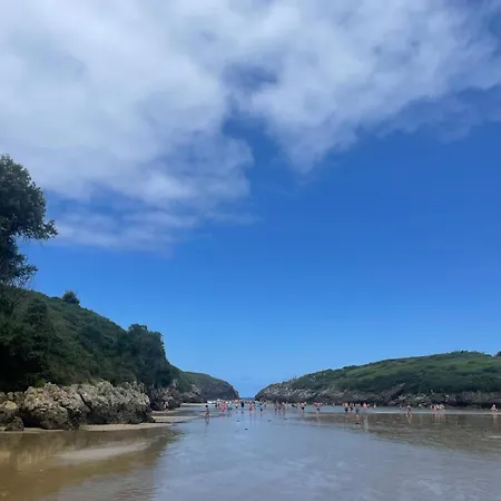 Paxarinos * Vibano