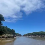 Paxarinos * Vibano